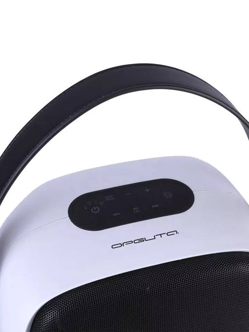 Акустическая система Орбита OT-SPF39